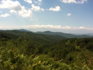 IMG_0813