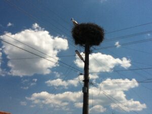 IMG_0843