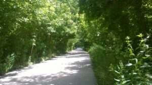 WP_20140701_034