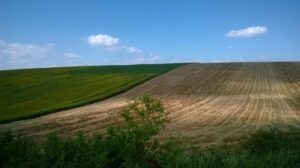 WP_20140701_052