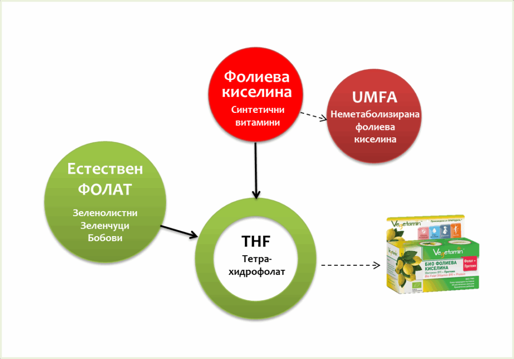 Folat, folic acid, vitamin B9, 5-MTHF