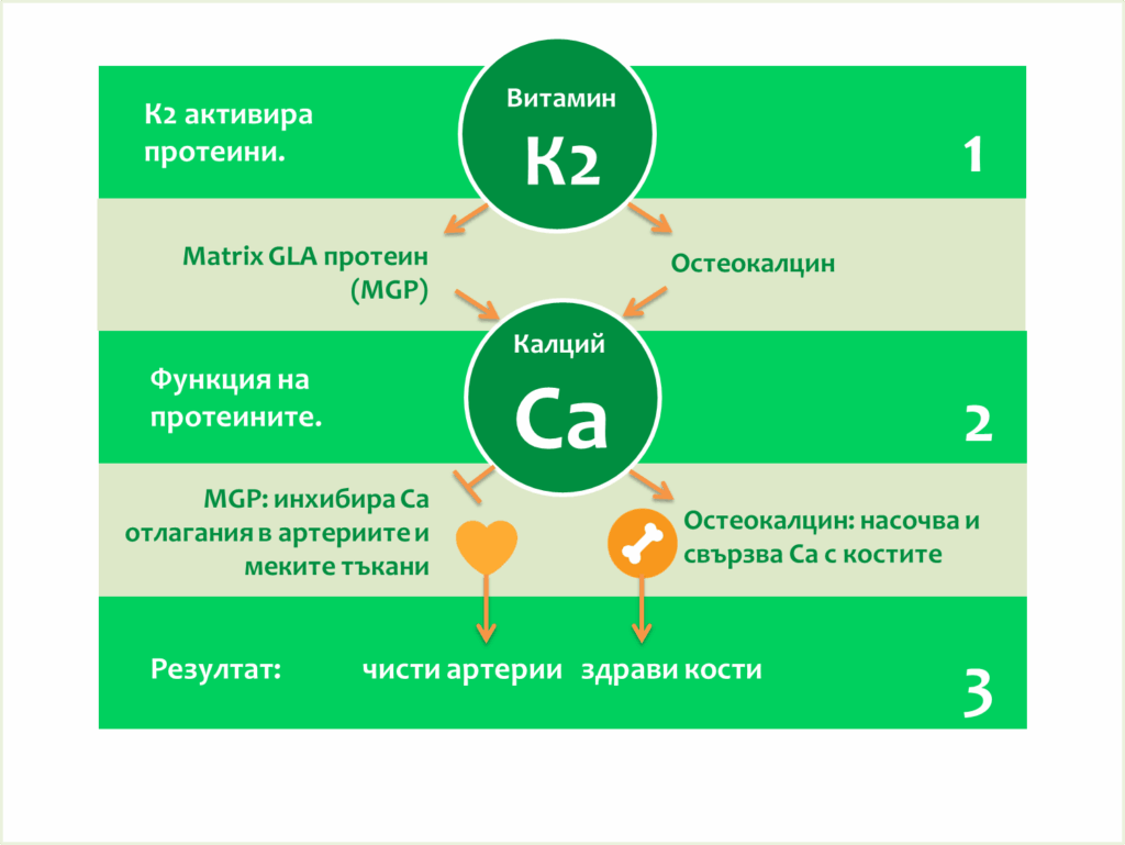 Ca+K2