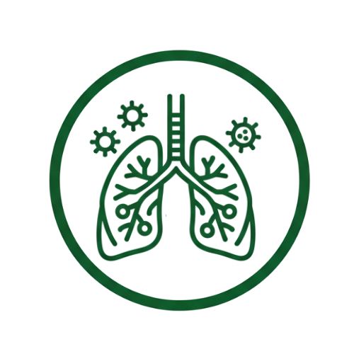 Дихателна система, Респираторни заболявания