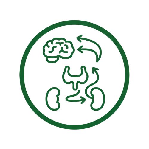 Хормонален дисбаланс