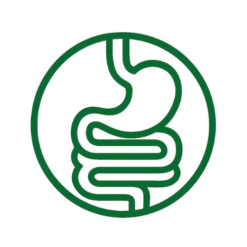 Храносмилателна система