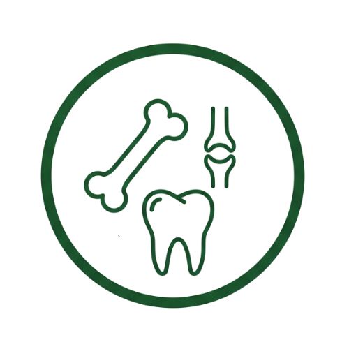 Кости, стави, зъби