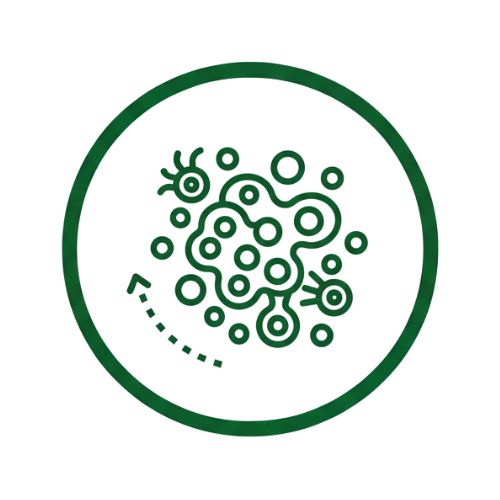 Онкологични заболявания