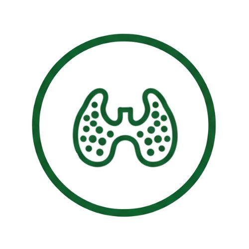 Щитовидна жлеза, Хашимото